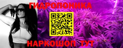 прущие крисы Кимры