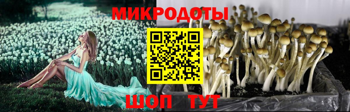 Арзамас  Галлюциногенные грибы GOLDEN TEACHER  Вход с VPN 